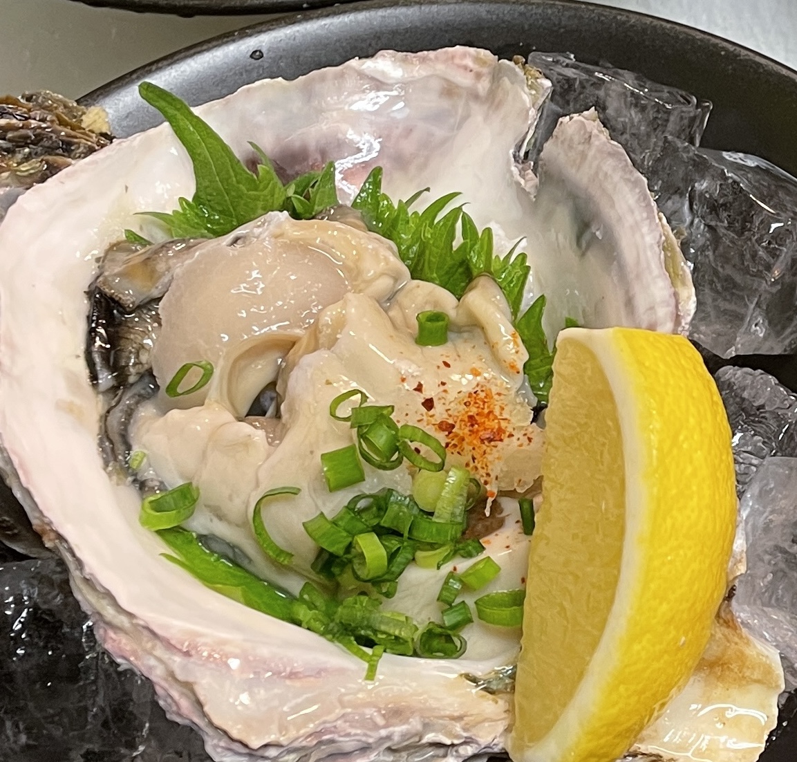 基本コース料理　春夏シーズン　　　　（3/15～9/30頃）
